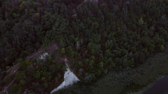 Picturesque Forest By the River