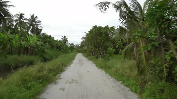 Drive at the kampung road in morning