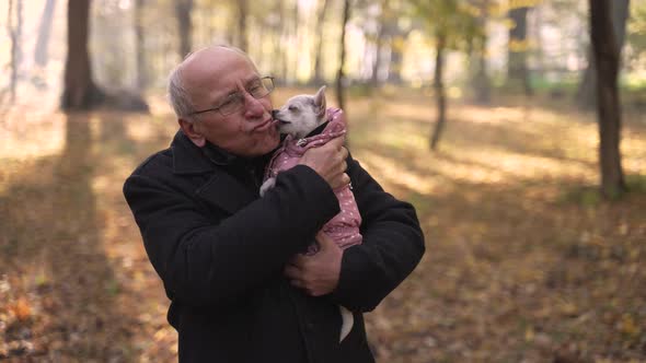 Cute Little Dog Licking Elderly Male Owner Outdoor