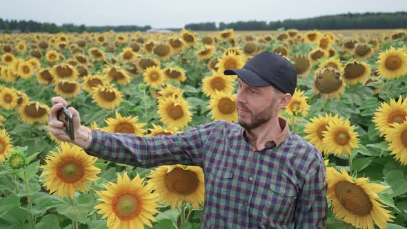 Countryside Man Farmer Standing in a Field of Sunflowers and Takes Selfie Pictures on a Smartphone