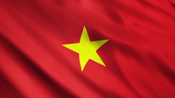 Vietnam Flags