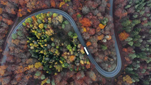 Aerial view of road through autumnal forest with truck and cars