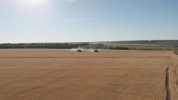 Aerial View on the Harvesters Working on the Large Wheat Field. Harvesting Agricultural Golden Ripe