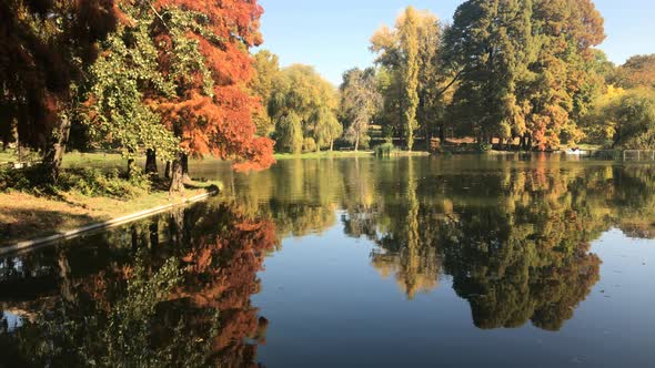 Colors of nature by the autumn 3840X2160 UltraHD tilting footage - Reflections on the pond water 4K 