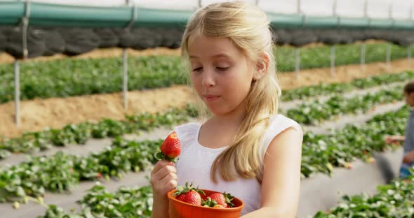 Girl eating strawberry in the farm