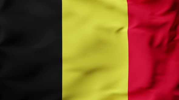 3D Animation Flag Waving in Slow Motion Fill Frame  Belgium