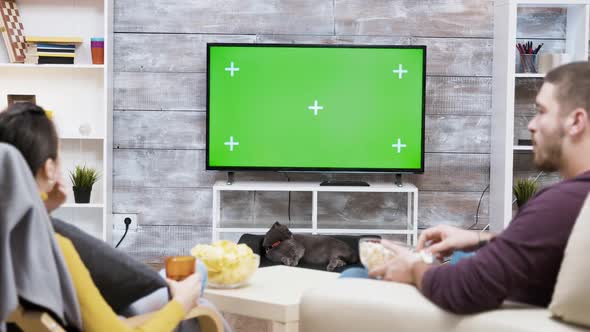 Zoom in Shot of Cat Licking Her Fur in Front of Tv with Green Scree