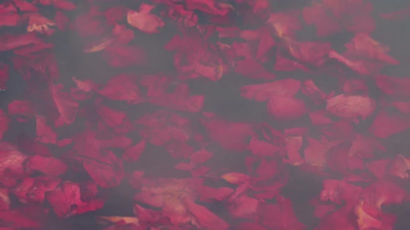 Rose Petals Float On Steaming Water