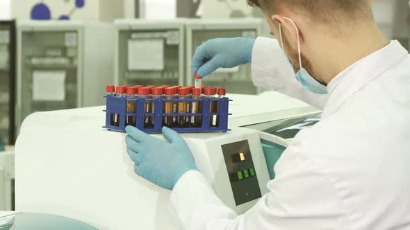 A Professional Lab Technician Checks Each of the Tubes Before Loading Them Into a Laboratory