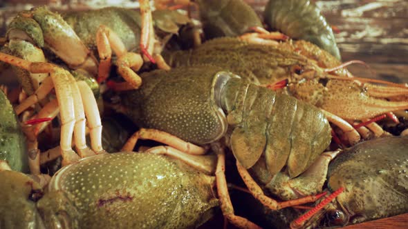 Live Crayfish on a Wooden Table