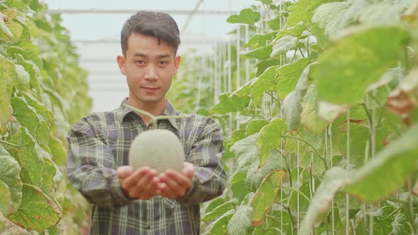 Asian Farmer Holding Melon And Smiles To Camera In Green House Of Melon Farm