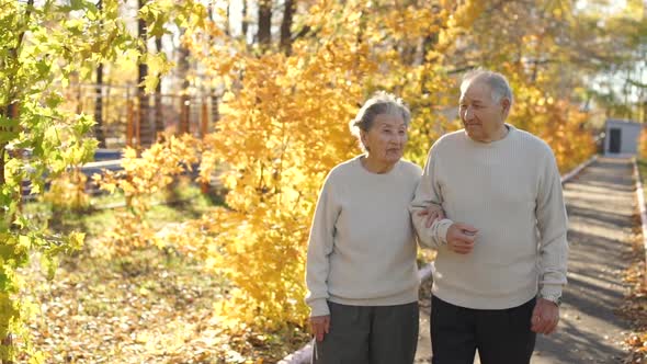 an Elderly Couple Walking Down the Walkway and Smiling To Each Other in a Park in a Beautiful Autumn