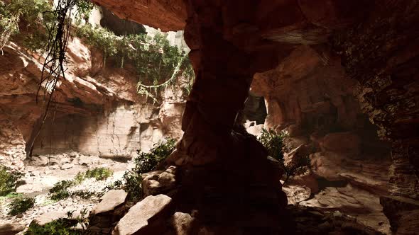 Cave in an Extinct Volcano Covered with Grass and Plants