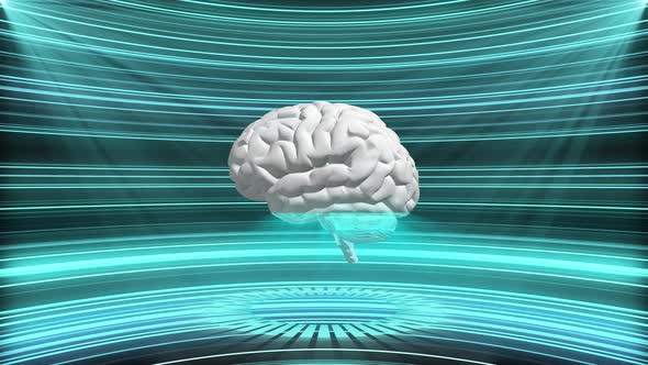 4K Sci Fi Hologram Human Brain Background Seamless Loop