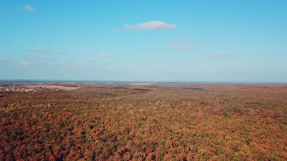 aerial view of autumn landscape of park on the background of a blue sky.