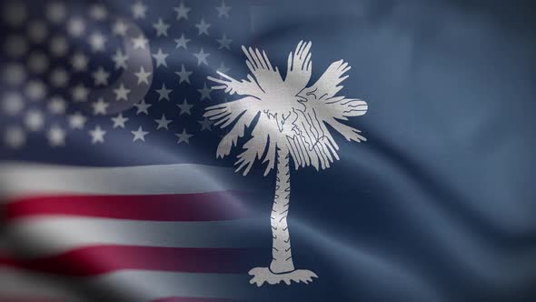 South Carolina State Usa Mixed Flag Front HD