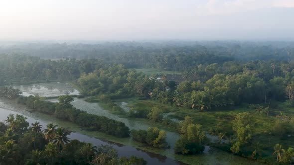 River in Asia,backwater village,Mangroves,Sunrise,Mist,irrigation,Boat,Transportation ,forest,Aerial