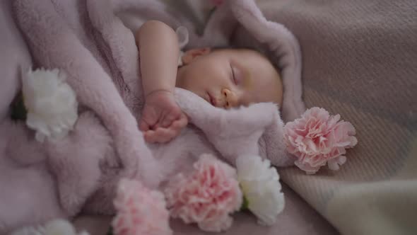 Sleeping Newborn Girl Lying in Pink Soft Blanket As Unrecognizable Mother Putting White and Pink