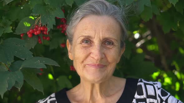 Beautiful Old Grandmother with Grey Hair and Face with Wrinkles is Looking at the Camera with Smile