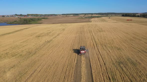 Harvesting of Wheat in Summer