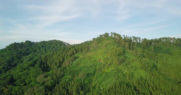 Drone flying near mountains and volcano covered by green trees in Indonesia. hill and forest in tro