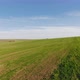 Green Whea Field in an Agricultural Landscape - VideoHive Item for Sale
