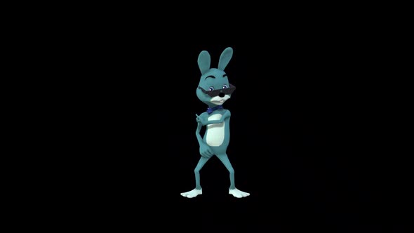 Cartoon Mr.Rabbit Dance 8