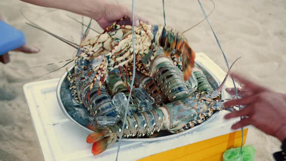 Lobster Seller Fisherman on the Beach Sells Lobsters to Vacationers on the Beach Fresh Lobsters
