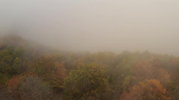 Autumn Day Over A Misty Forest 4 alt