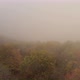 Autumn Day Over A Misty Forest 4 - VideoHive Item for Sale