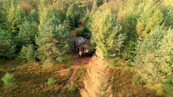 Wooden Hut in Autumn Forest in the Netherlands Cabin Off Grid Wooden Cabin Circled By Colorful
