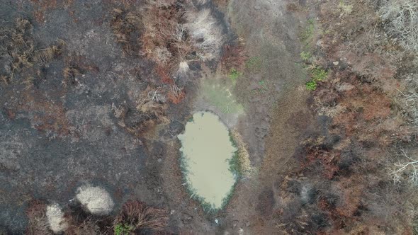 From water pond to burn landscape in Brazil Amazon wildfire