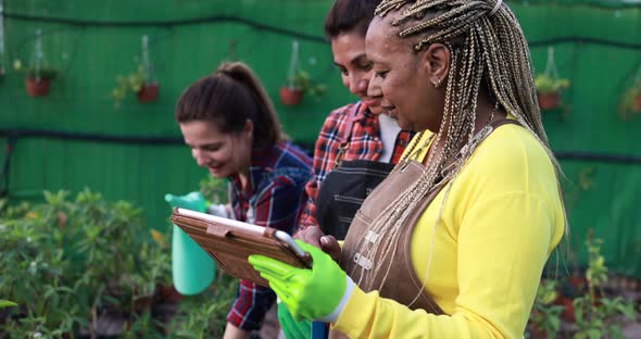 Multiracial women working inside greenhouse garden - Nursery and spring concept