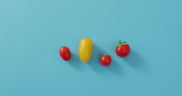 Video of four fresh cherry and yellow tomatoes with copy space on blue background