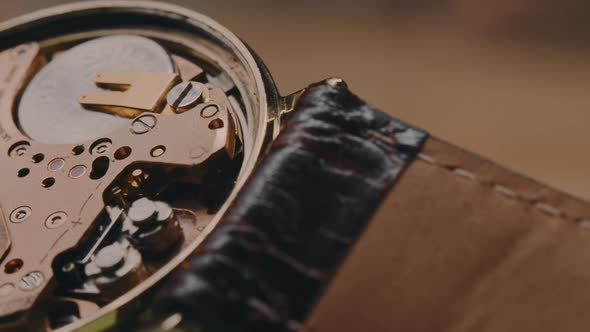 Vintage Wristwatch's Back Without Case - Opened Back Of Vintage Watch Machinery - macro shot