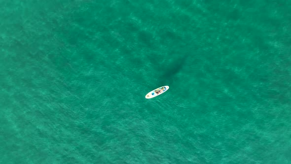Sup surfing aerial view 4 K Turkey Alanya