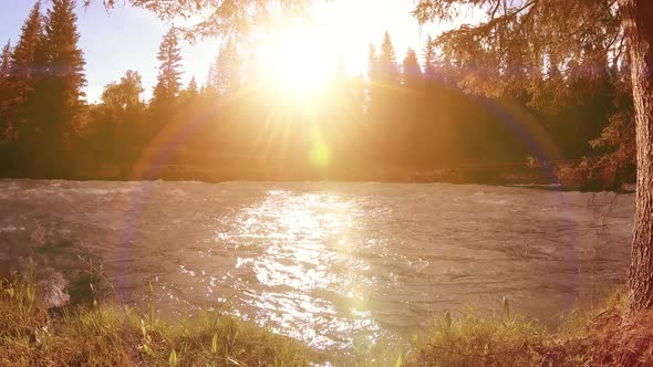 Meadow at Mountain River Bank. Landscape with Green Grass, Pine Trees and Sun Rays. Movement on