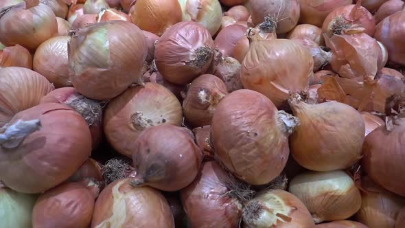 Pile Of Organic Fresh Ripe Onion 2