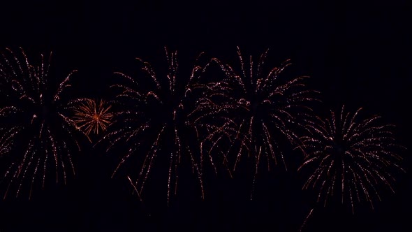 Colorful Firework display at night on sky background