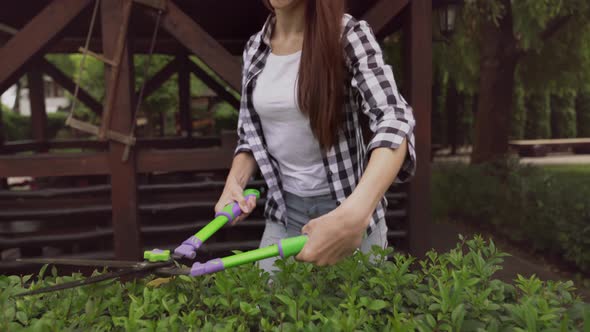 Cheerful Brunette Lady Cutting Bushes with Hand Shears