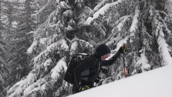 Man Ski Touring In Snow Covered Forest