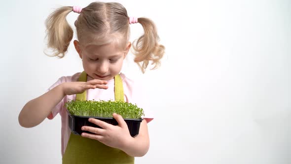 A Small Blonde Girl and Holds a Seedling of Micro Greens in Her Hands and Examines the Sprouts