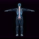 Male spine 3d hologram - VideoHive Item for Sale