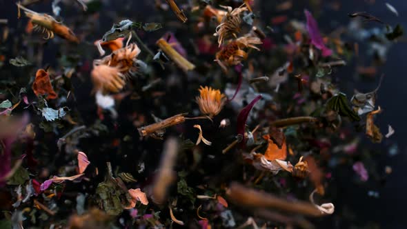 Particles of mountain tea fly up and hang in the air on a black background