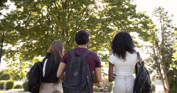 Back View of Students Group Walking Going to University