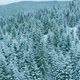 Forest Mountains Snow Cold Winter Wood Hill Frozen Travel Nature - VideoHive Item for Sale