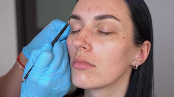 Closeup of a Woman's Face Concealer is Applied with a Flat Brush Under the Eyebrow