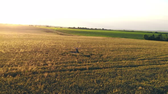 Woman Painting a Picture in a Wheat Field, Acrylic Paints Wheat. Sunset. The Sun Shines Into the