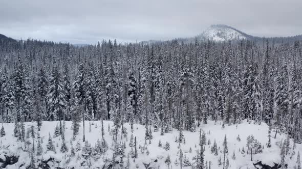 Emerging over a snowy rock covered hill top to reveal a cold and peaceful snow-covered forest scene