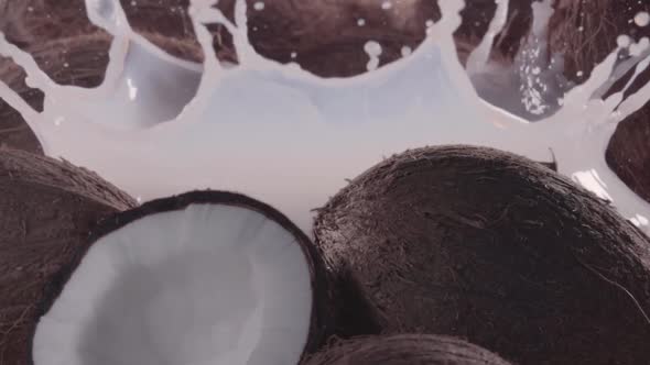 Half of Coconut Falling Into Milk with Splash